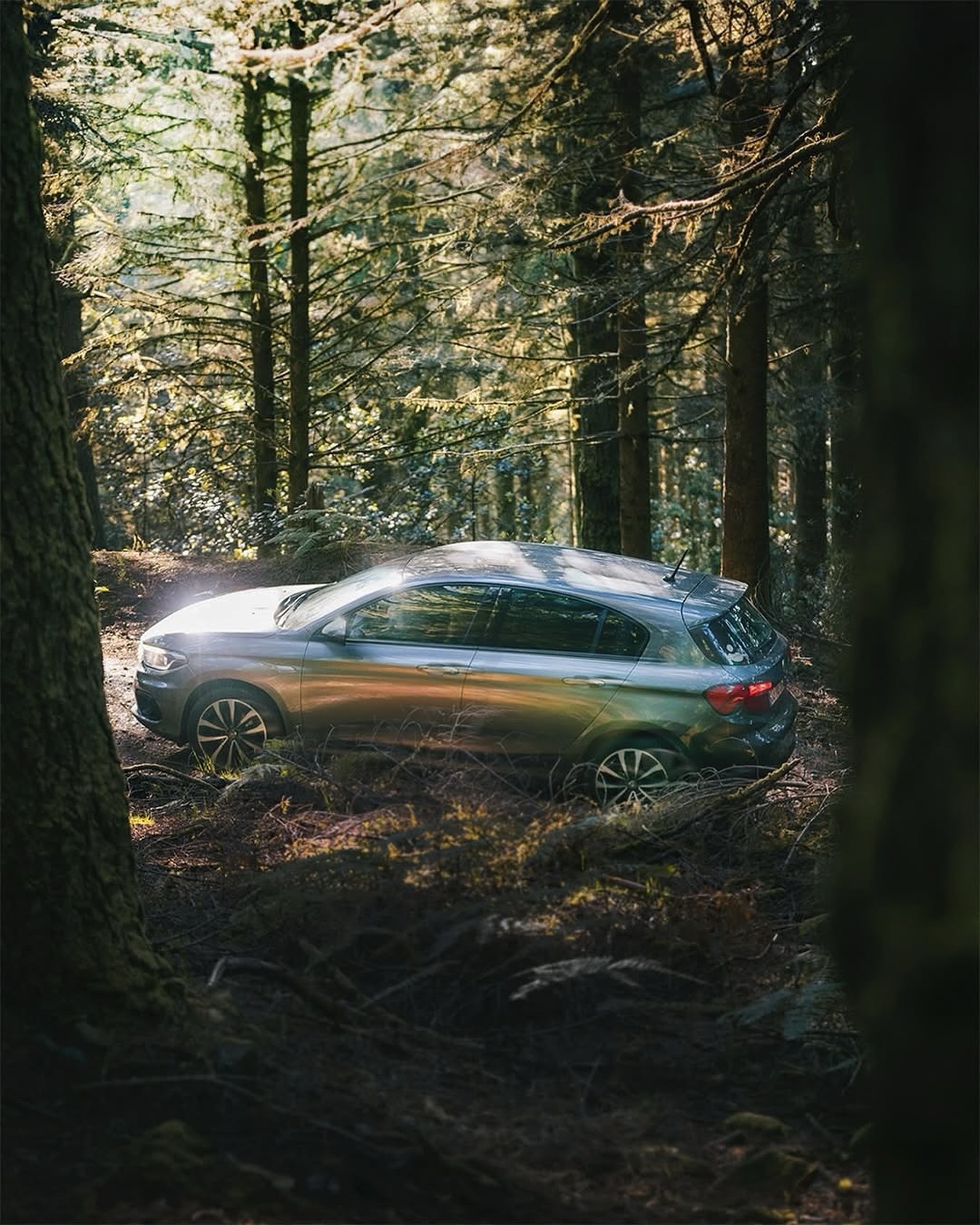 thumbnail Rent a Car in Madeira Island: The Best Way to Choose the Right Vehicle and Drive With Confidence