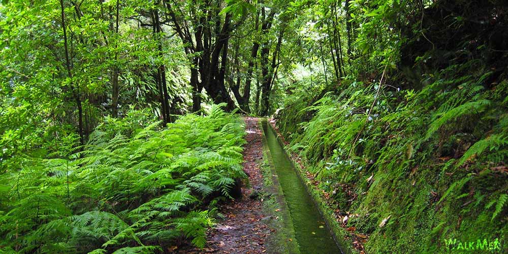 thumbnail Hiking in Madeira 2026: New Trail Rules, Higher Fees & Why You’ll Need a Rental Car
